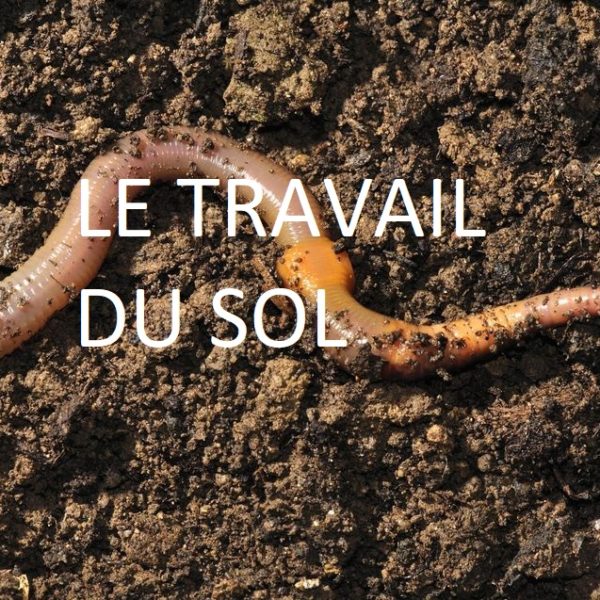 travail du sol sans labour respect de la bio diversité bio chanvre félinois